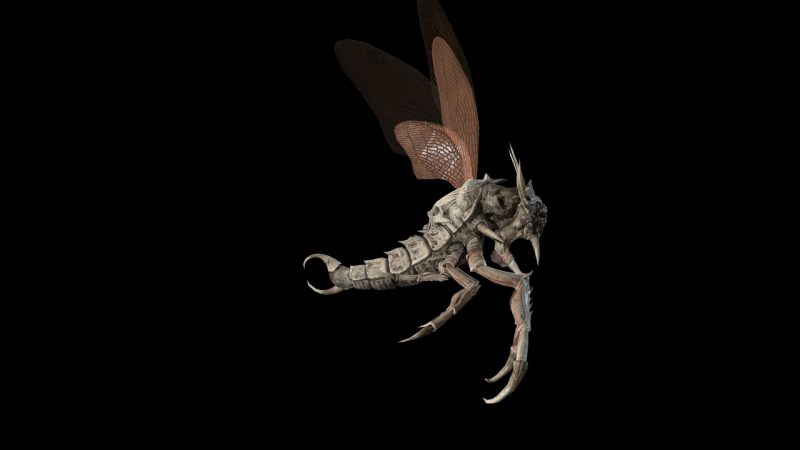 怪物甲虫模型包 – Monster Beetle Pack