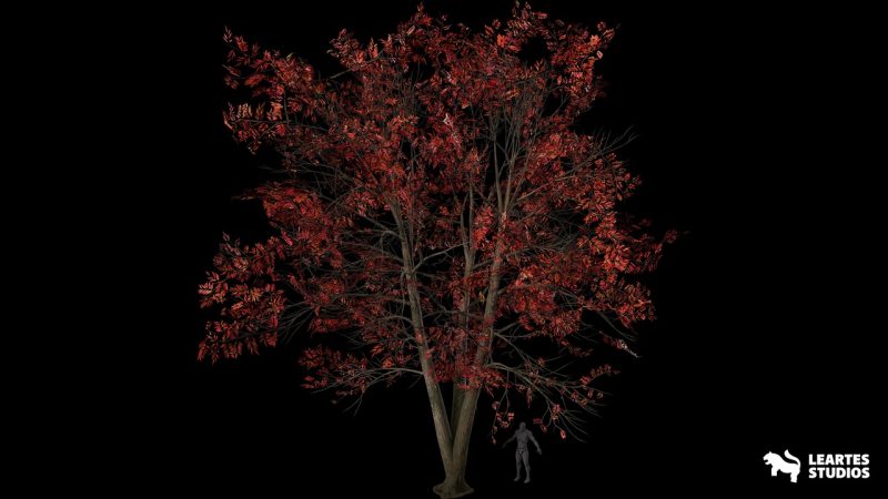 酸木树资源包 – Sourwood Trees Pack