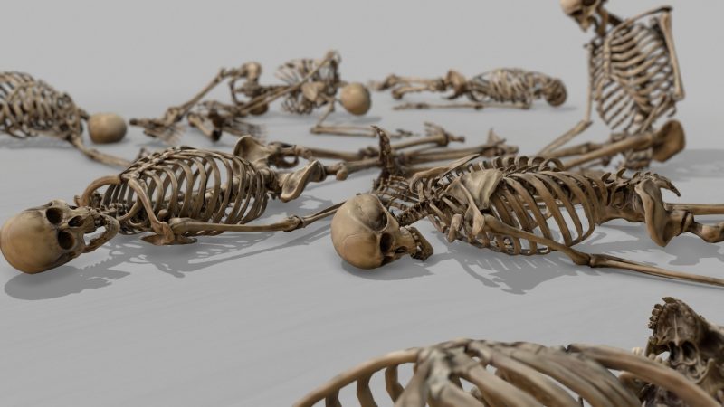 模块化人体骨骼系统 – Modular Human Skeleton