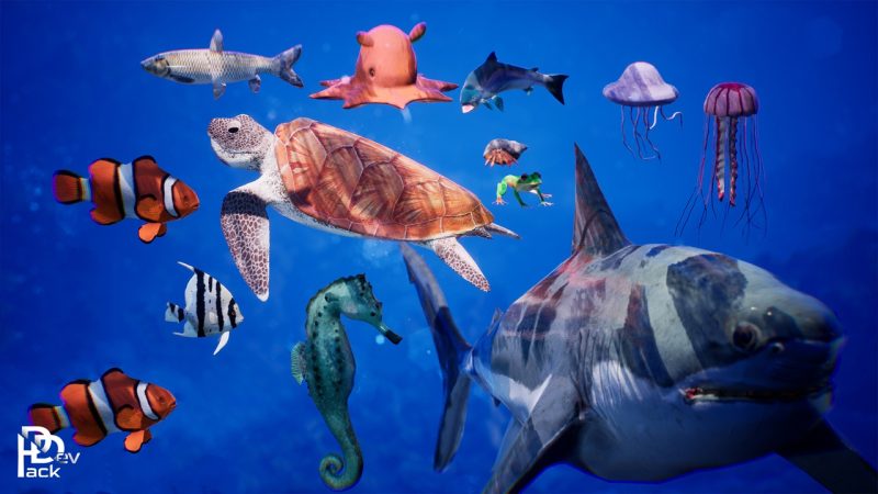海洋动物3D模型包 – Sea Animals / 12 Meshes