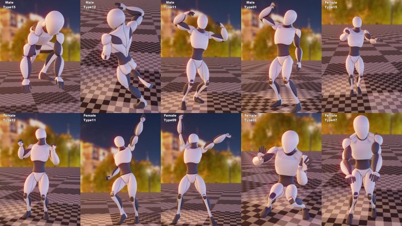 DJ动画动作包 – DJ Animations