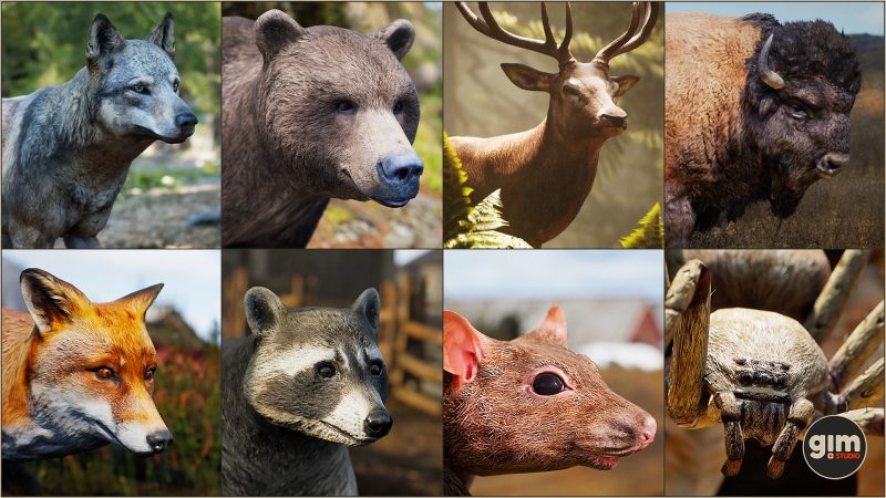 动物模型入门套件 – Animalia Starter Kit