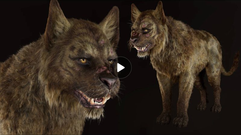 houdini奇幻生物纹理和外观开发