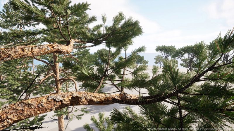 DZ树木 – 针叶树集合 – DZ Trees – Conifers (Pines, Cypresses and Firs)