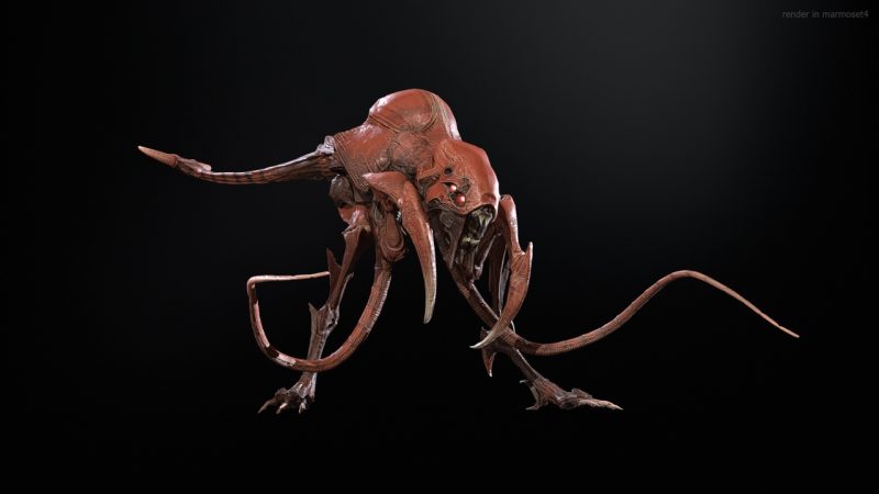 猛禽模型 – Raptor