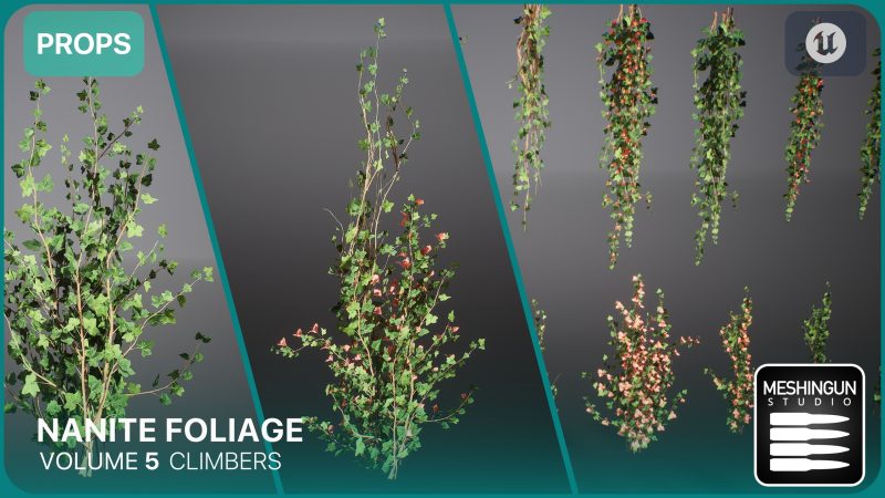 Nanite植被第五卷攀援植物资源 – Nanite Foliage Vol5 Climbers