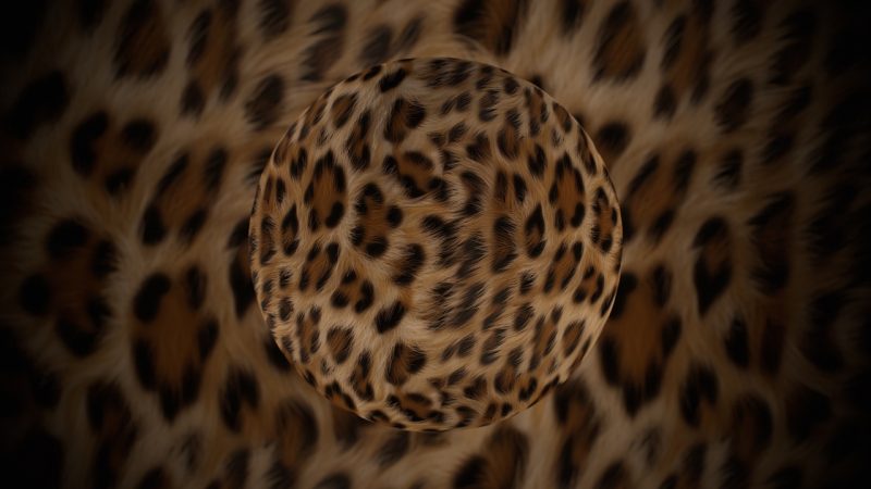 豹纹皮毛材质包1 – Leopard Fur Material Pack 1