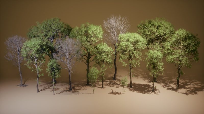 植被 VOL.45 – 山毛榉树（Nanite – 无透明度）- Foliage VOL.45 – Beech Trees (Nanite – NO TRANSPARENCY)